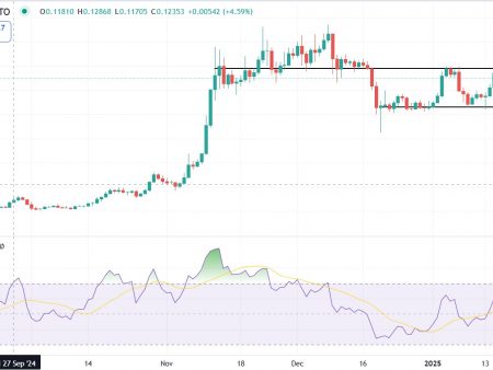 Dogecoin (DOGE) price forecast: Political support increases hopes for a rally