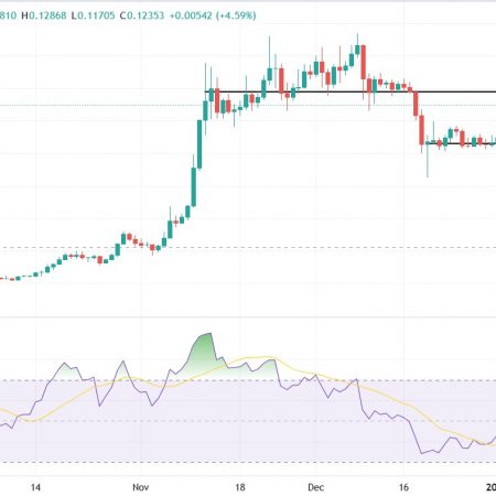 Dogecoin (DOGE) price forecast: Political support increases hopes for a rally