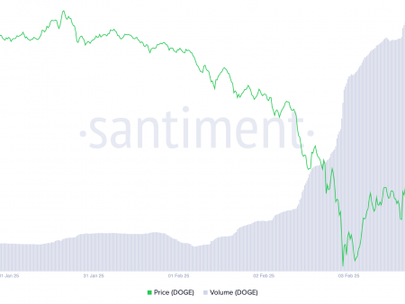 Dogecoin Unceded $ 370,000, an institutional purchase cannot cause rally