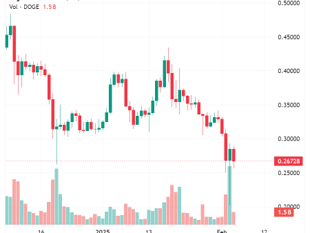 Dogecoin increased more than 5% after Elon Musk threatens the haters of Dog with federal actions