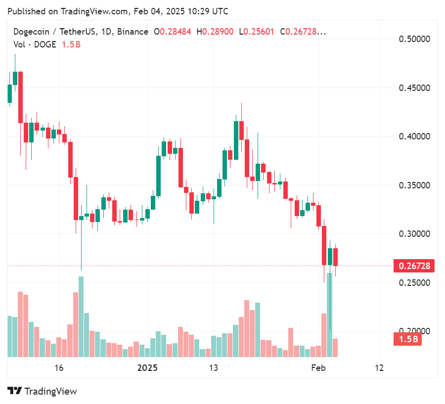 Dogecoin increased more than 5% after Elon Musk threatens the haters of the Dog with federal action - 1