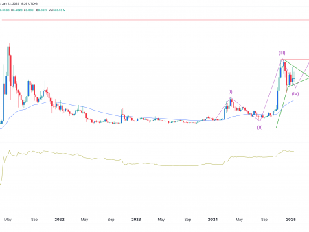 Dogecoin price is a rare pattern and an elliotic wave indicate 110% of the surge