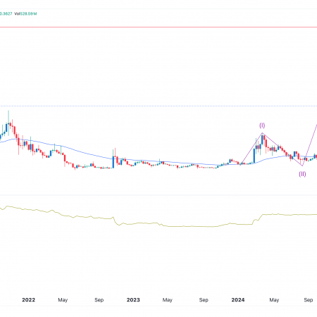 Dogecoin price is a rare pattern and an elliotic wave indicate 110% of the surge