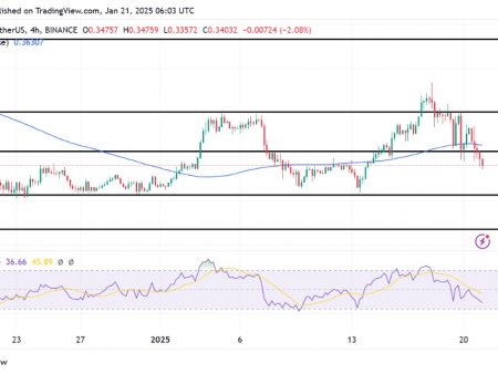 Dogecoin sommentum weakens: RSI signals with a bear continued up to 0.3 US dollars.