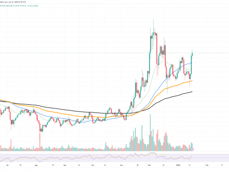 Litecoin (LTC) wakes up with a 16% jump in 24 hours: what is happening?