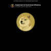 The price of Dogecoin (DOGE) is swaying after the Elon Musk section shows its logo