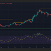 Will Solana Price $ 500 go in February 2025?