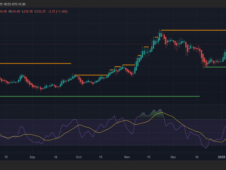 Will Solana Price $ 500 go in February 2025?