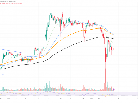 Will XRP return to $ 3? Solana (SOL). On the verge of loss 200 dollars, Dogecin (DOG) lost almost all 250% of profits