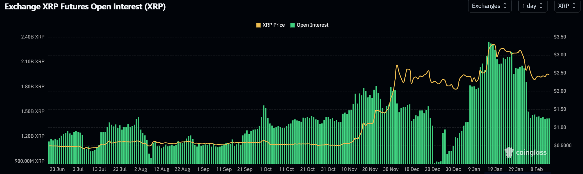 XRP open interest