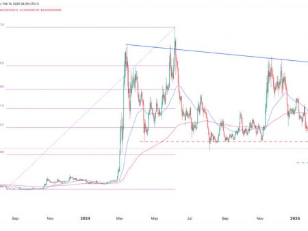 Leading Crypto -Monet Price Forecasts: Floki, Quant, Jito and Sui