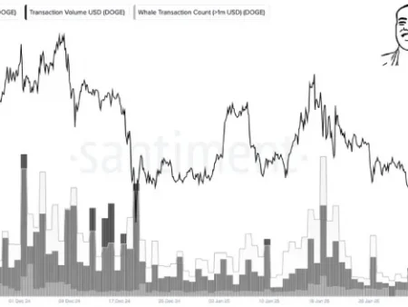 Medvedonnoye traps sets of dollar price by 40%