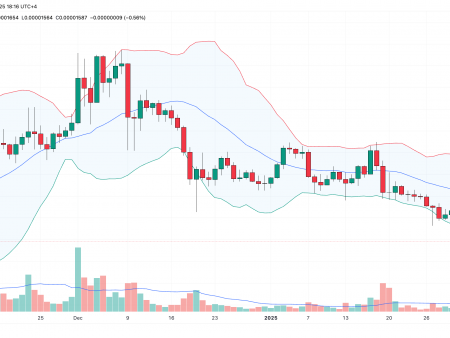 Shiba Inu (Shiba) bulls on the verge of massive Fomo