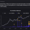 What is big? Whales accumulate bitcoins as ever before