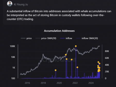 What is big? Whales accumulate bitcoins as ever before