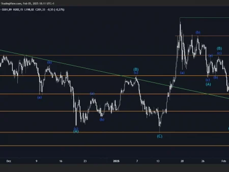 Where are the critical levels of resistance and support in the price of Solana: experts are divided by technical analysis