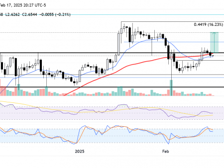 XRP decreases below $ 2.72, like Doge Elon Musk to start examination of the SecC